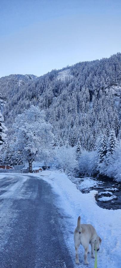 Apartament Haus Nani Bad Gastein Zewnętrze zdjęcie